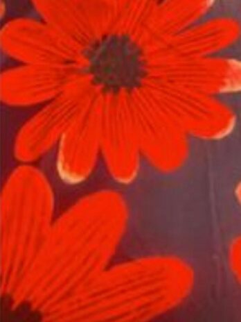 Camisa / Túnica Assimétrica